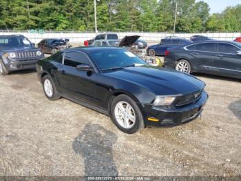  Salvage Ford Mustang