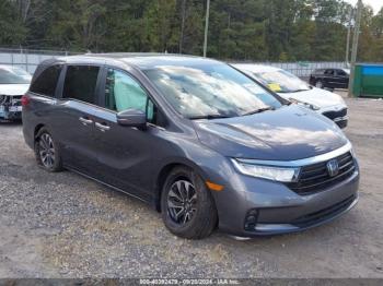  Salvage Honda Odyssey