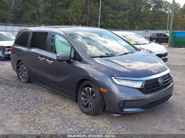  Salvage Honda Odyssey