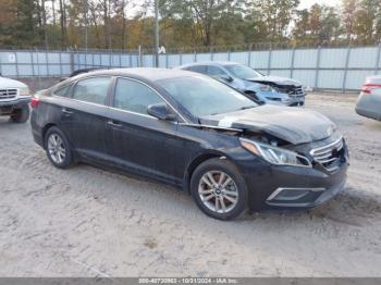  Salvage Hyundai SONATA