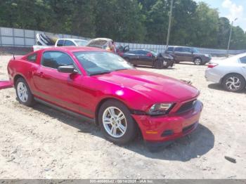  Salvage Ford Mustang