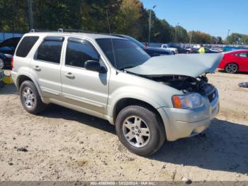  Salvage Ford Escape