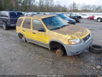  Salvage Ford Escape