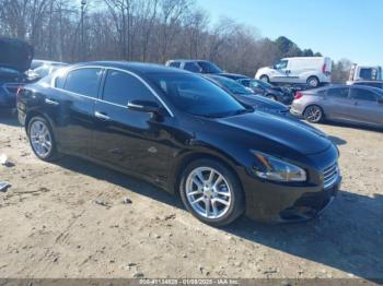  Salvage Nissan Maxima