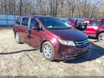  Salvage Honda Odyssey