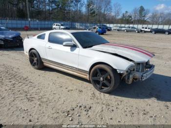  Salvage Ford Mustang