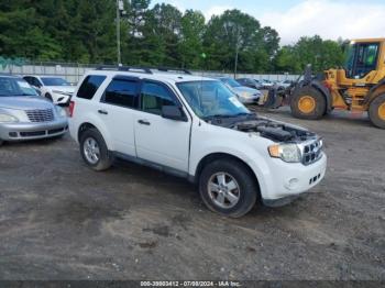  Salvage Ford Escape