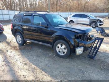  Salvage Ford Escape