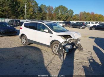  Salvage Ford Escape