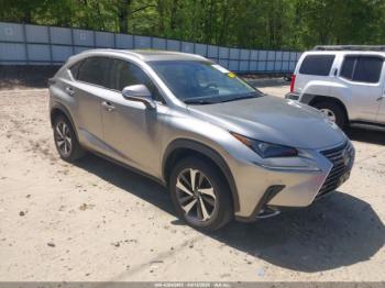  Salvage Lexus NX