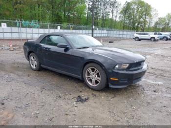  Salvage Ford Mustang
