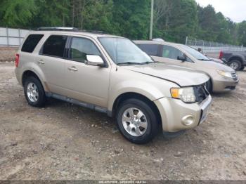  Salvage Ford Escape