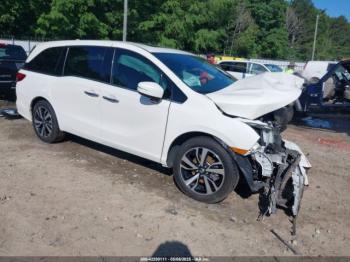 Salvage Honda Odyssey