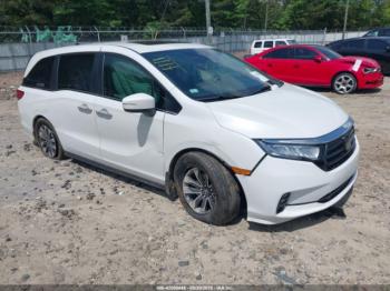  Salvage Honda Odyssey