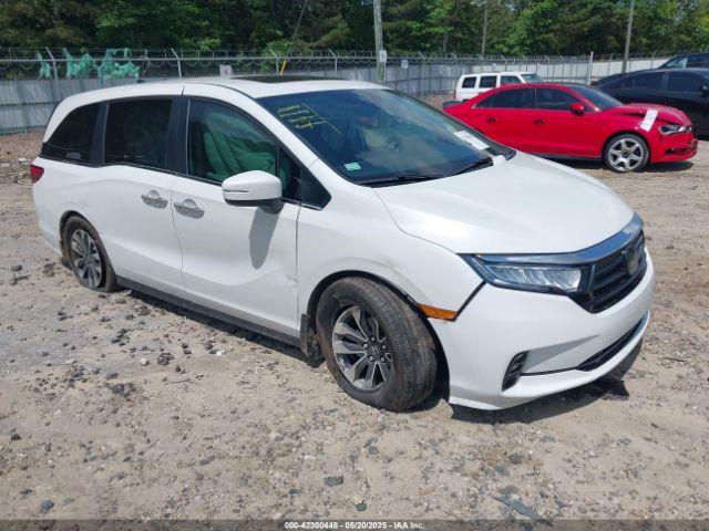  Salvage Honda Odyssey