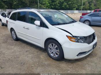  Salvage Honda Odyssey