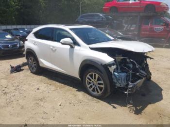  Salvage Lexus NX