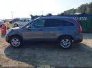 Honda CR-V Ex-l Image 8