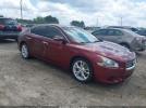 Nissan Maxima 3.5 Sv Image 1