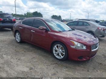  Salvage Nissan Maxima