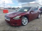 Nissan Maxima 3.5 Sv Image 16