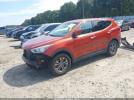 Hyundai SANTA FE 2.4l Image 3