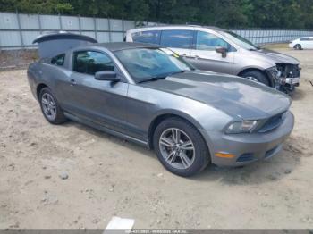  Salvage Ford Mustang