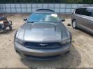 Ford Mustang Image 12