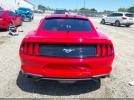 Ford Mustang Ecoboost Premium Fastback Image 2