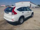 Honda CR-V Lx Image 8