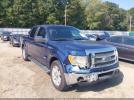 Ford F-150 Lariat Image 14