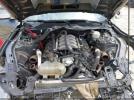 Ford Mustang Gt Image 10