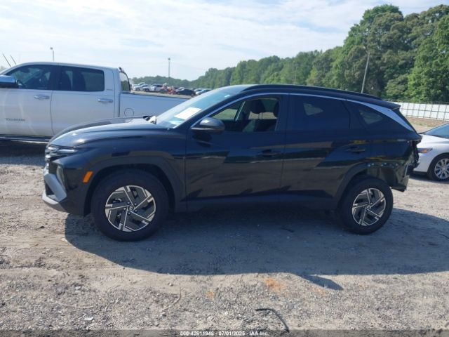 Hyundai TUCSON Blue Image 12