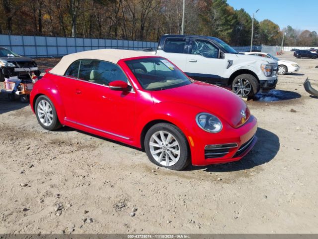 Volkswagen Beetle Image 1