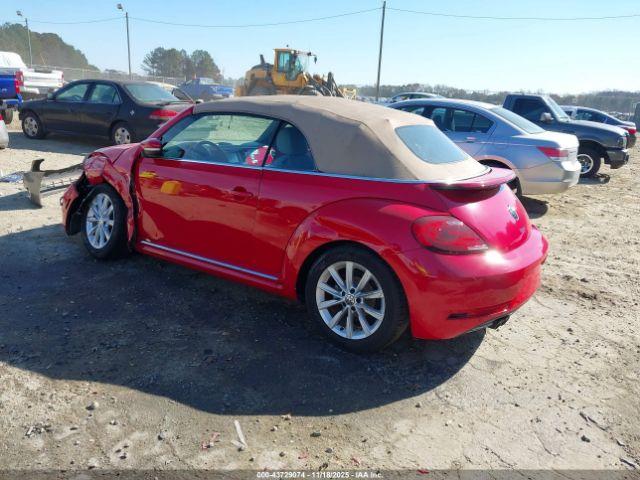 Volkswagen Beetle Image 10