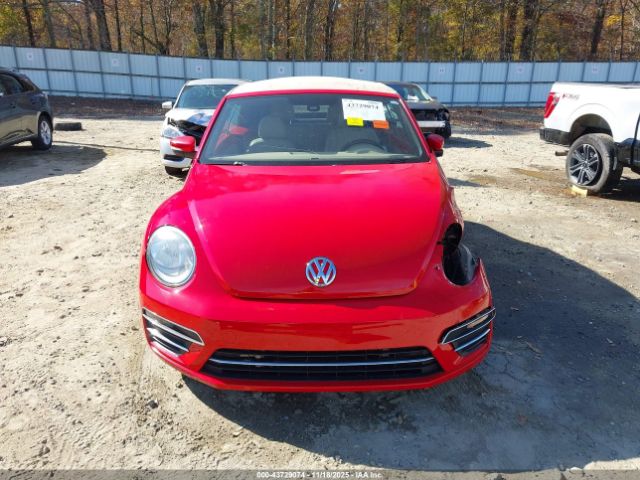 Volkswagen Beetle Image 8