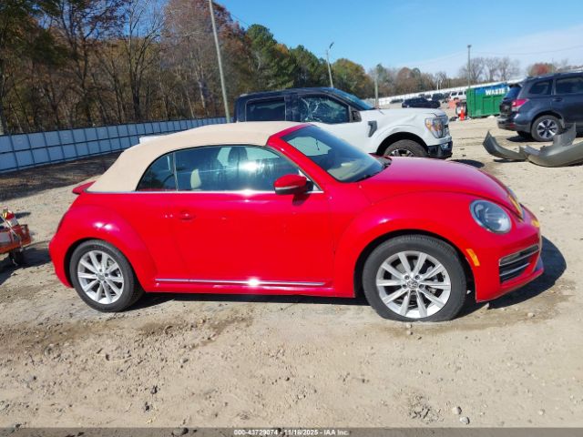 Volkswagen Beetle Image 12