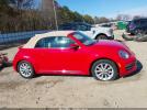 Volkswagen Beetle Image 12
