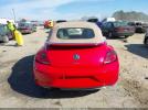 Volkswagen Beetle Image 11