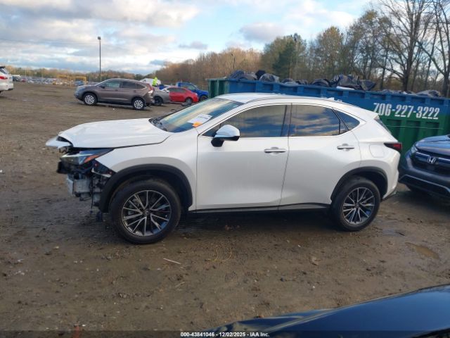 Lexus NX Image 5