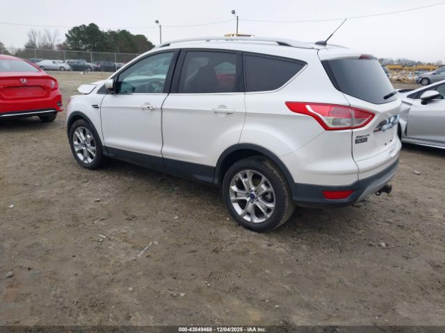 Ford Escape Titanium Image 5