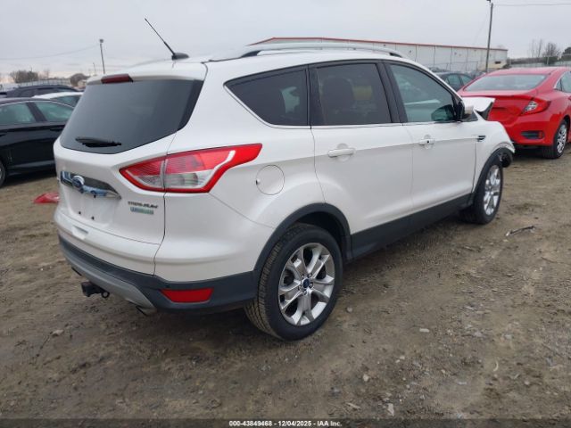 Ford Escape Titanium Image 14