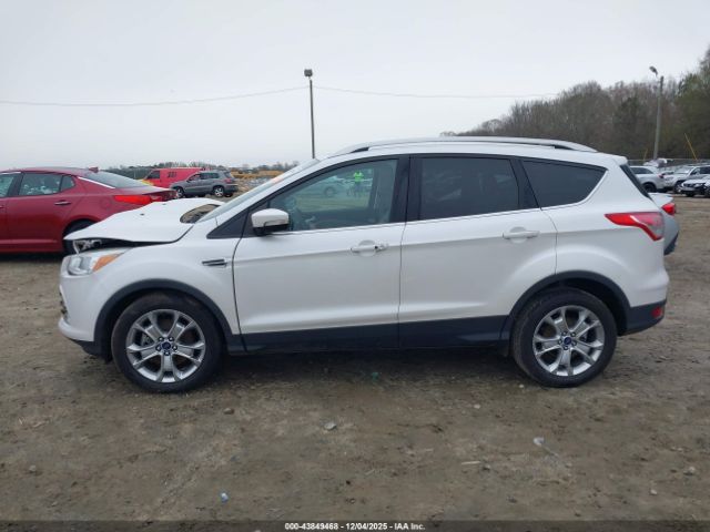 Ford Escape Titanium Image 7