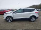 Ford Escape Titanium Image 7