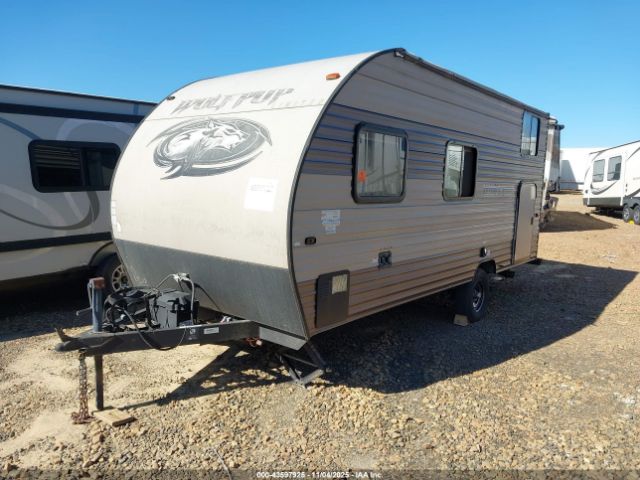 Forest Riv Wolf Pup Image 9