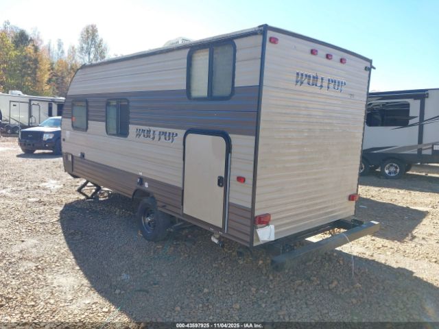 Forest Riv Wolf Pup Image 5