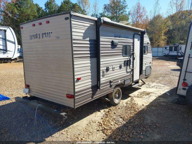 Forest Riv Wolf Pup Image 11