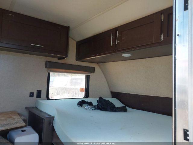 Forest Riv Wolf Pup Image 2