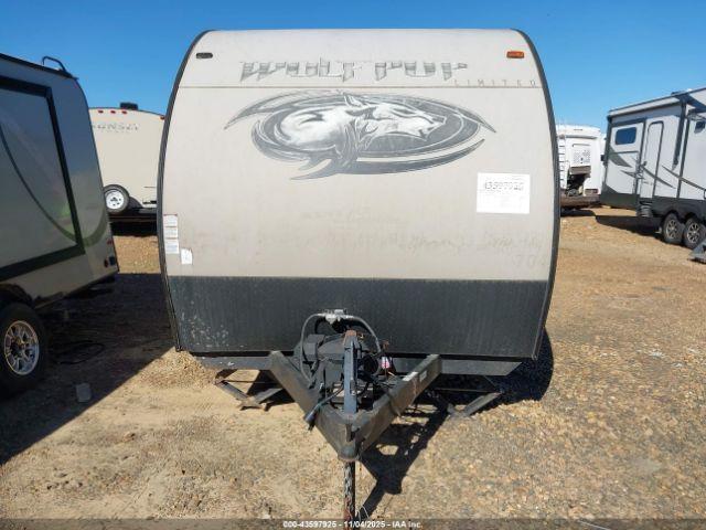 Forest Riv Wolf Pup Image 3