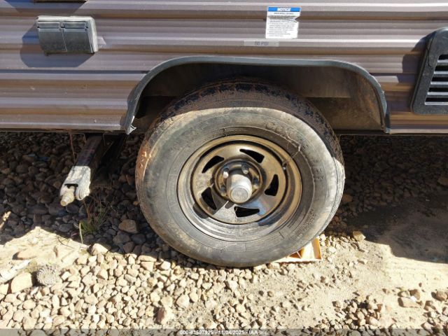 Forest Riv Wolf Pup Image 12